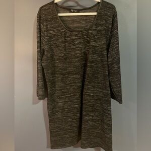 Lily Morgan Grey Dress 2X